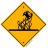 Road Squid