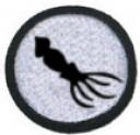 Science Merit Badges