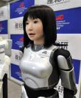 Model Robot