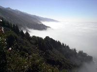 Hwy One