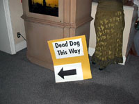 Con Dead Dog