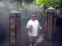 JD's in the Mist