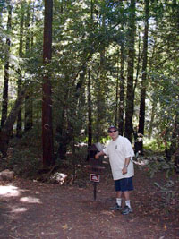 Big Sur