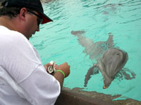 Hiya, Flipper!