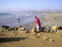 Morro Rock