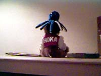 HOKA and Ollie